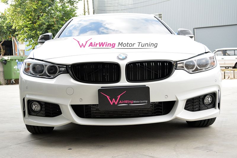F32 - Performance style grille set (M4 looking)